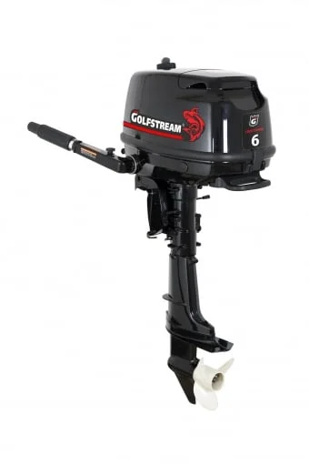 купить Лодка ПВХ RIVERBOATS 320 Лайт НДНД + 4х-тактный лодочный мотор GOLFSTREAM F 6 ABMS в Москве - фото 