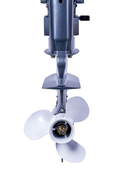 купить 2х-тактный лодочный мотор SEANOVO SN30FFES в Москве - фото 