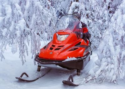 купить Снегоход РУССКАЯ МЕХАНИКА Тайга Варяг 550V в Москве - фото 