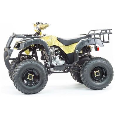 купить Квадроцикл STALKER 250 в Москве - фото 