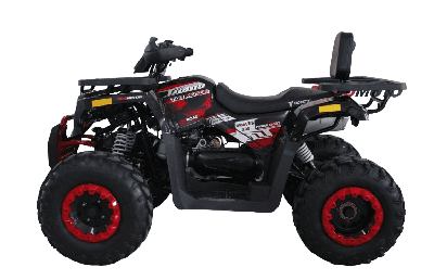 купить Квадроцикл HUNTER 250 в Москве - фото 