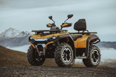 купить Квадроцикл HISUN Guardian 400L Long в Москве - фото 