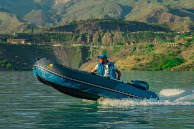 купить Лодка ПВХ ТРИТОН Plus 335 в Москве - фото 