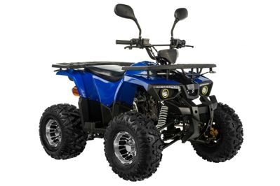 купить Квадроцикл TIGER Extra 175cc (2024) в Москве - фото 