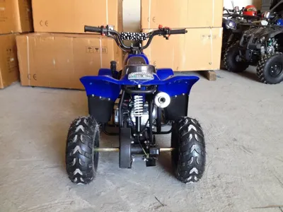 купить Квадроцикл RAPTOR 110 в Москве - фото 