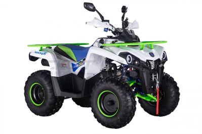 купить Квадроцикл ROCKOT Hammer 200 Premium в Москве - фото 