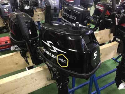 купить 2х-тактный лодочный мотор MAGNUM PRO SM5HS в Москве - фото 