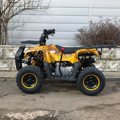 купить Квадроцикл YACOTA Smarty 110 в Москве - фото 