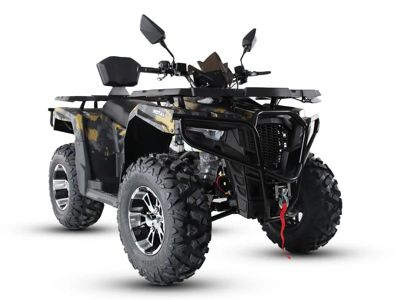 купить Квадроцикл MOTAX Grizlik 300 в Москве - фото 