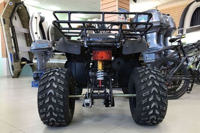 купить Квадроцикл RAPTOR Max Pro 250 (жёлтый/чёрный) (2024) в Москве - фото 