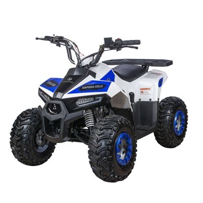 Квадроцикл YACOTA Raposa в Москве