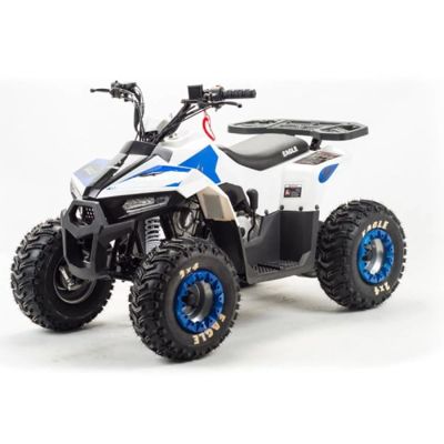 Квадроцикл MOTOLAND 110 Eagle (2021 Г.) в Москве