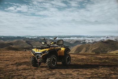 купить Квадроцикл HISUN Guardian 400L Long в Москве - фото 