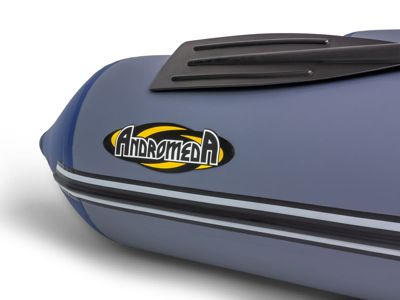 купить Лодка ПВХ АНДРОМЕДА Luxe 310 в Москве - фото 