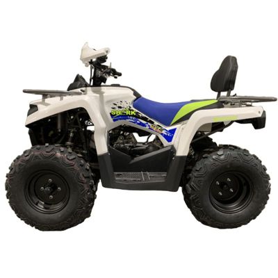 купить Квадроцикл MOTOLAND Shark 200 в Москве - фото 