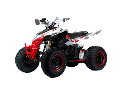 купить Квадроцикл MOTOLAND RALLY 250 в Москве - фото 