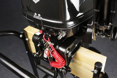 купить 2х-тактный лодочный мотор SUZUKI DT9.9AS в Москве - фото 