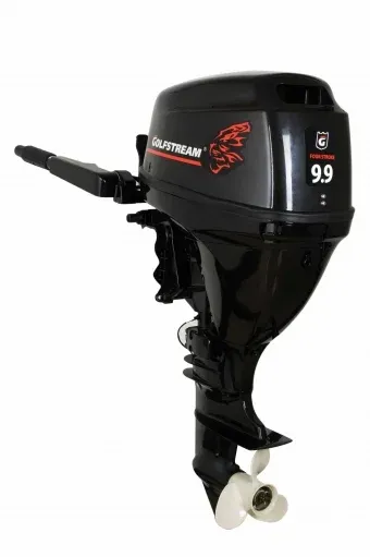 4х-тактный лодочный мотор GOLFSTREAM F9.9ABMS Enduro в Москве