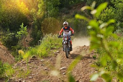 купить Мотоцикл кроссовый эндуро SHARMAX PowerMax 280 (2024) в Москве - фото 