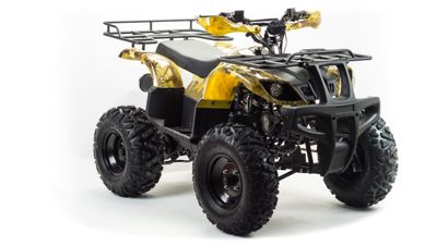 купить Квадроцикл MOTOLAND 150 Maverick в Москве - фото 