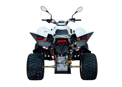 купить Квадроцикл SYM QuadRaider 450 в Москве - фото 