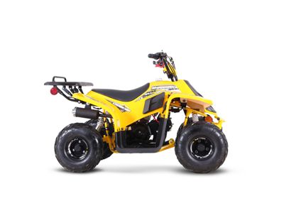 купить Квадроцикл SHARMAX 130 Cross в Москве - фото 