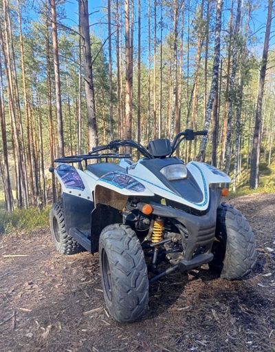 купить Квадроцикл BALTMOTORS Jam 100 (2022) Б/У в Москве - фото 