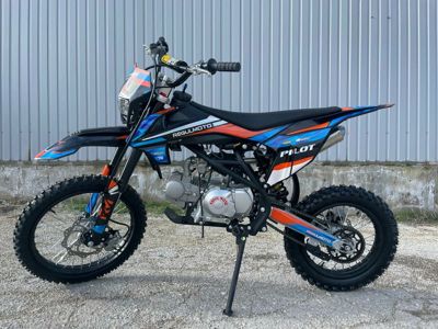 купить Мотоцикл REGULMOTO Pilot EM 17/14 (2023) PITBIKE в Москве - фото 