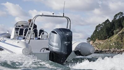 купить 4х-тактный лодочный мотор YAMAHA FL300BETX в Москве - фото 