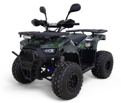 Квадроцикл MOTAX grizlik D125 в Москве