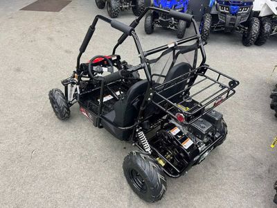 купить Багги SHARMAX Тигр 250 в Москве - фото 