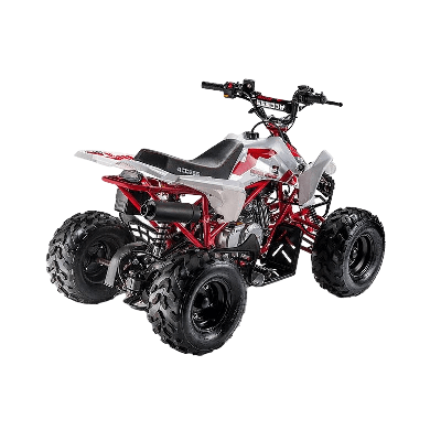 купить Квадроцикл ACCESS AMS 110 MiniSport в Москве - фото 