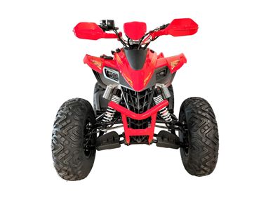 купить Квадроцикл YACOTA Typhoon 250LD в Москве - фото 