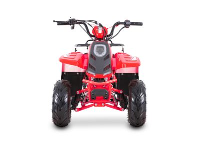 купить Квадроцикл SHARMAX 130 Cross в Москве - фото 