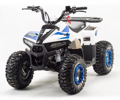 купить Квадроцикл MZ Eagle 110 в Москве - фото 