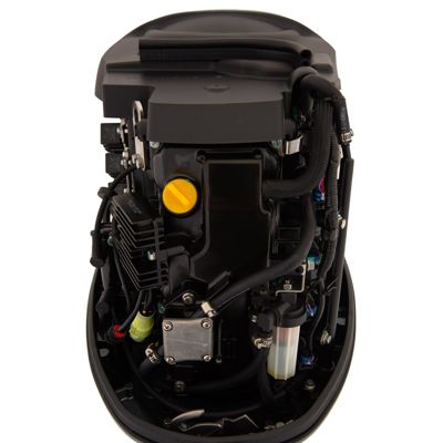 купить 4х-тактный лодочный мотор SEANOVO SNEF50FUEL-T в Москве - фото 