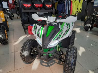 Квадроцикл MOTOLAND 125 COYOTE PRO (2023) Б/У в Москве