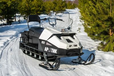 купить Снегоход БТС Arctic 4Т Лонг 20 л.с. в Москве - фото 