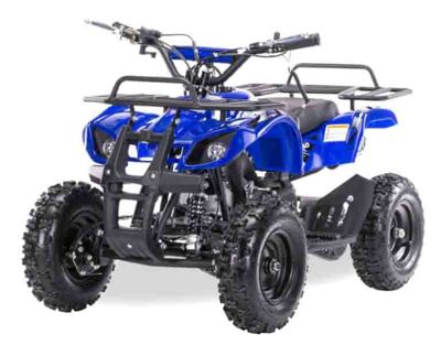 купить Квадроцикл MOTAX ATV Mini Grizlik X-16 в Москве - фото 