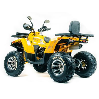 купить Квадроцикл MOTOLAND 200 Wild Track X Pro (Баланс. вал) (2021 Г.) в Москве - фото 