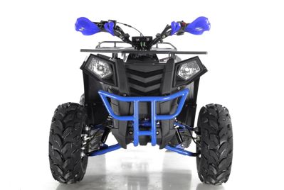 купить Квадроцикл WELS Thunder EVO в Москве - фото 