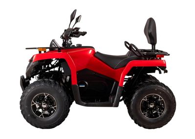 купить Квадроцикл BIZON YK200 Basic Carb в Москве - фото 
