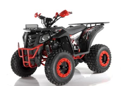 Квадроцикл WELS ATV Thunder 200 Evo X в Москве