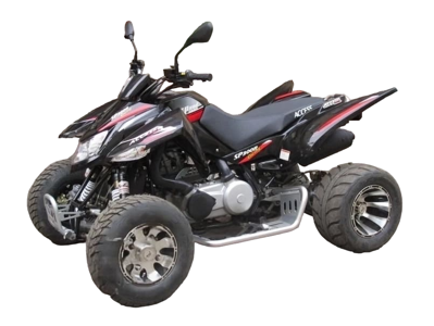 купить Квадроцикл ACCESS SP 300 SM в Москве - фото 