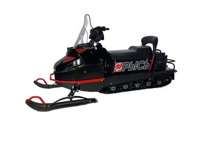 купить Снегоход БТС 4Т Рысь 600 Люкс 29 л.с. в Москве - фото 