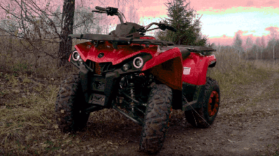 купить Квадроцикл SHARMAX Hummer 250 (2024) в Москве - фото 