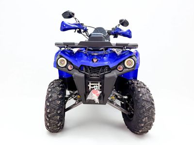 купить Квадроцикл MOTAX Grizlik 200 ULTRA BIG в Москве - фото 