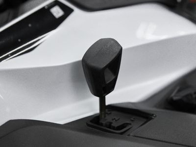 купить Снегоход BRP Ski-Doo Expedition LE 20″ 900 Ace (2023) в Москве - фото 