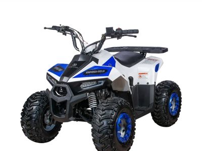 купить Квадроцикл YACOTA Raposa Pro Sport в Москве - фото 