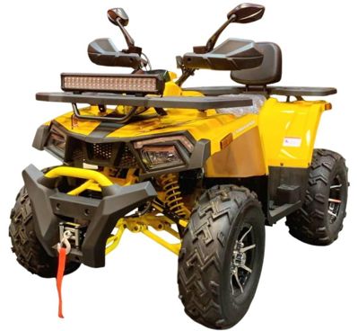 Квадроцикл MOTOLAND Wild Track X PRO 200 (баланс. вал) в Москве